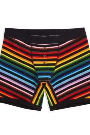 6" Fly Boxer Briefs - Progress Pride Stripes